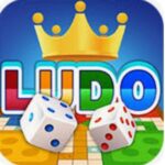 Halo Ludo